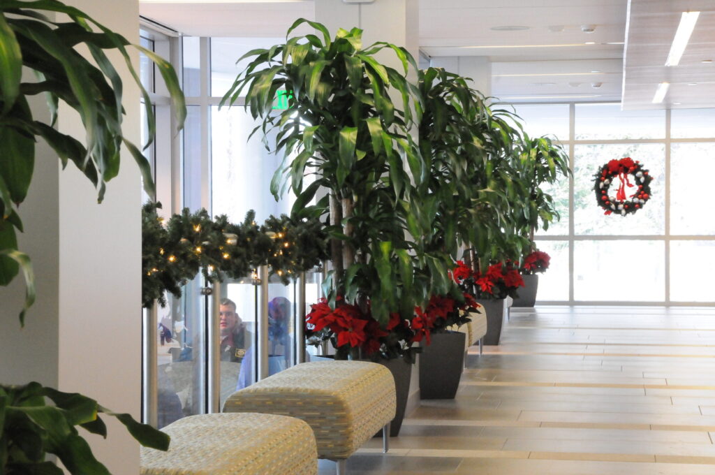 Holiday Magic at Mercy Hospital