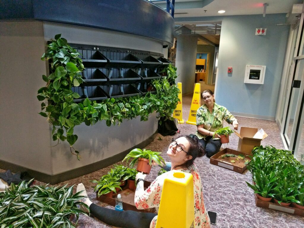 Botanicus Living Green Wall Plantups