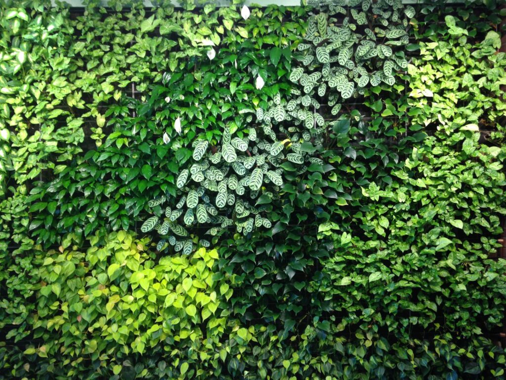 MidTown Tower 280 lobby green wall Rochester,NY
