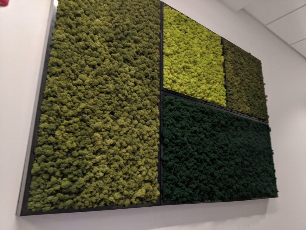 Moss Walls Panel Installation