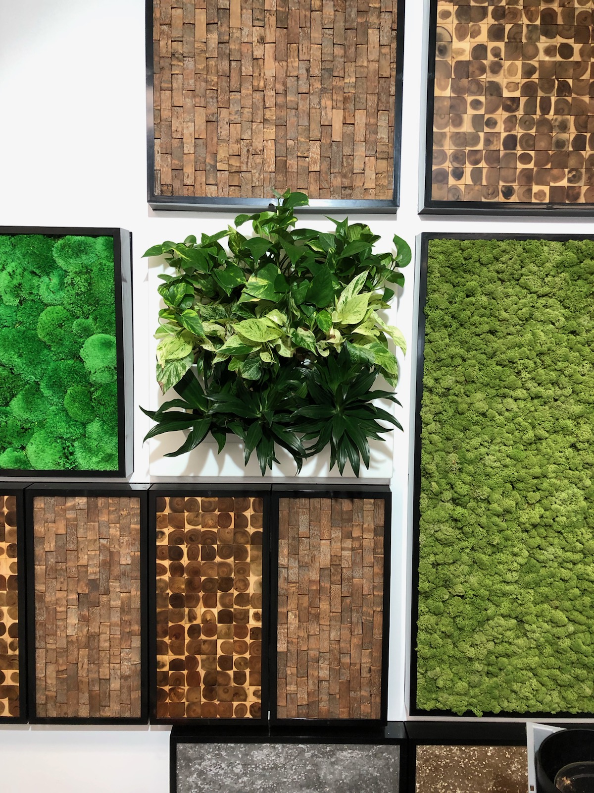 Moss Wall Art Green Design Patterns
