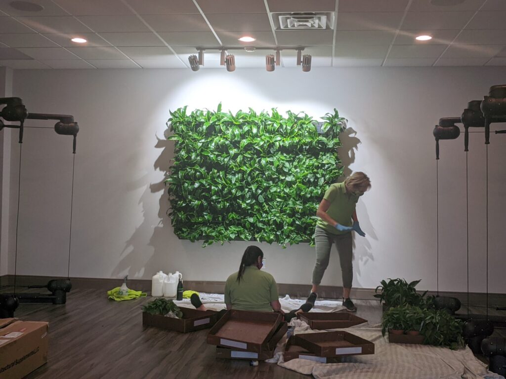 Botanicus Living Green Wall Plantups
