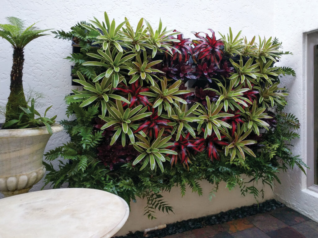 Atrium Green Walls Estero, Florida