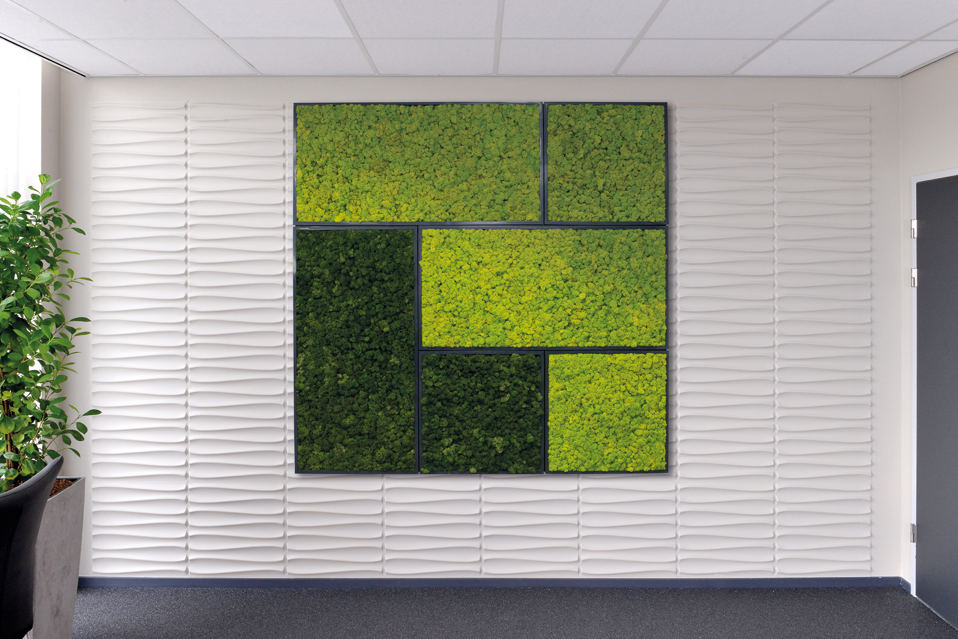 12 x 24 Moss Wall Art Panel Kit - Botanicus Green