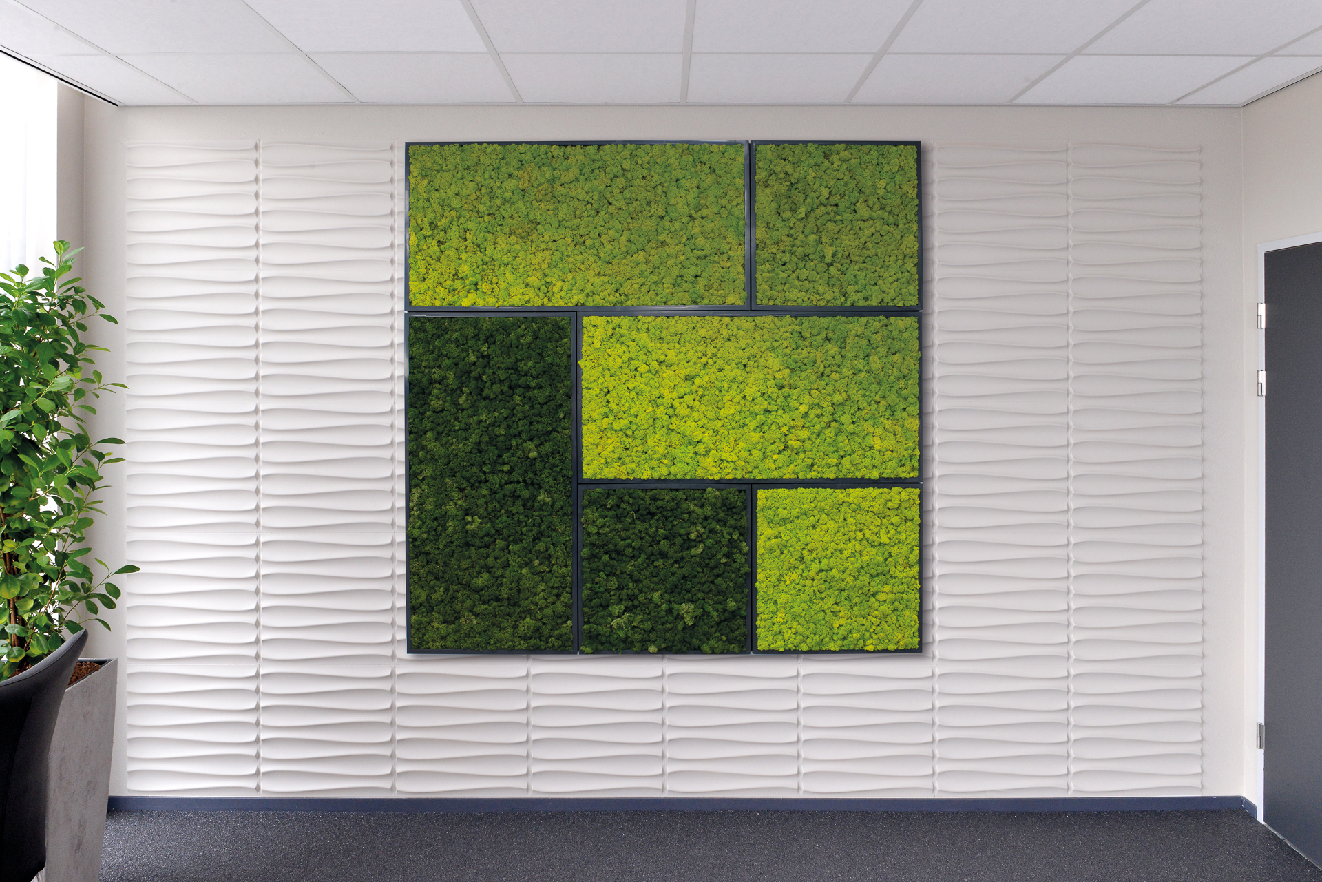 24 x 24 Moss Wall Art Panel Kit - Botanicus Green