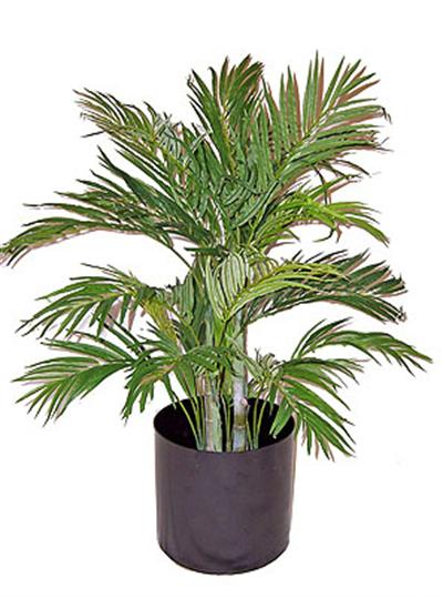 3' Silk Areca Palm Bush